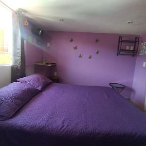 Hospedaje Casa Verde